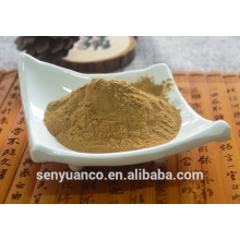 GMP factory supply hot sale Radix Notoginseng P.E.